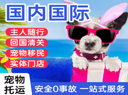 成都双流空运地址国际宠物托运 【国